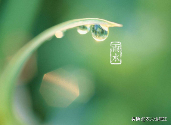 雨水的含义是什么意思 雨水节气是什么意思，雨水的含义是什么意思（“雨水”是下雨的意思吗）
