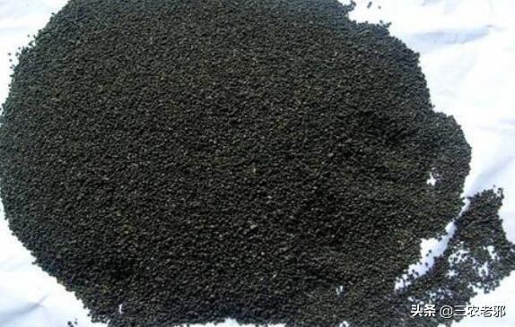 养蚕的方法和步骤，养蚕的方法（养蚕的新技术及方法）