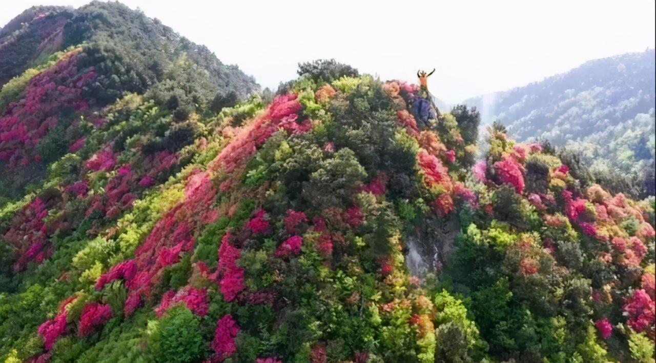 石金山（绩溪十大名山的传说故事）