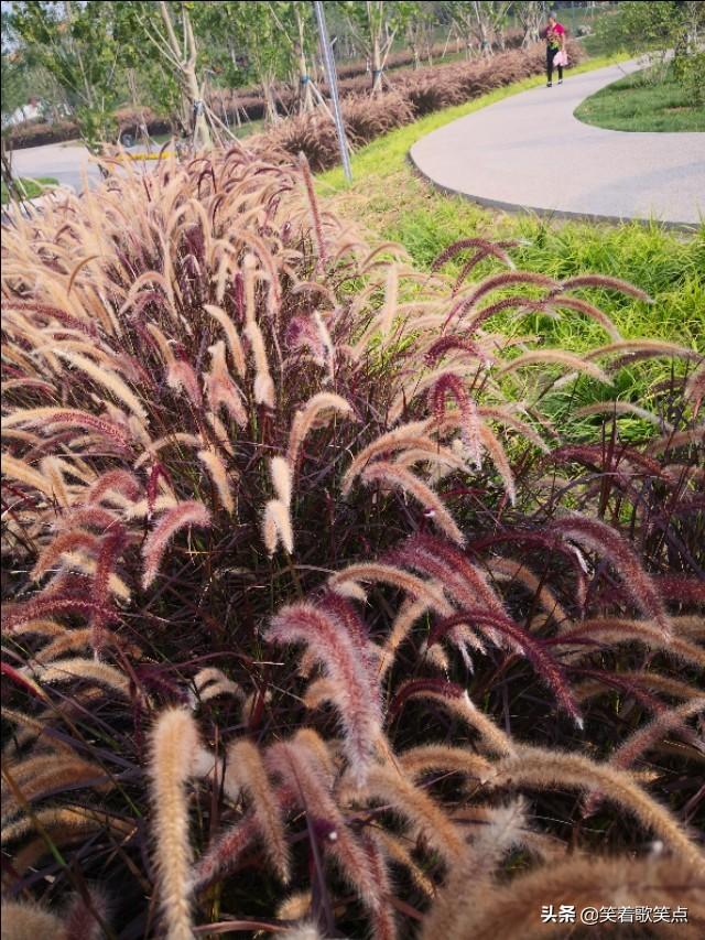 沉默是金歌词，沉默是金歌词完整版（歌词：沉默是金）