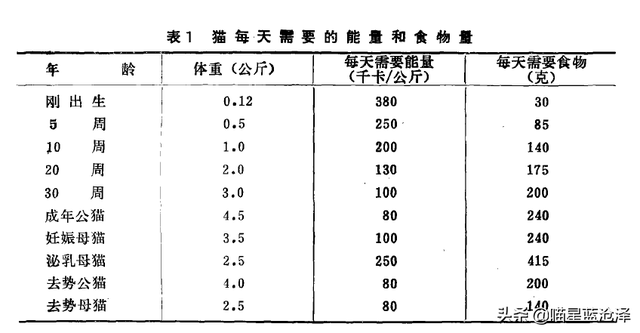 凌采露华官网，关于幼猫你不知道的第4件事——幼猫该吃什么东西