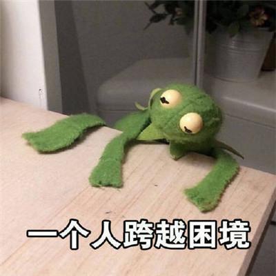 可爱青蛙头像，青蛙头像微信（青蛙头像卡通可爱大全）