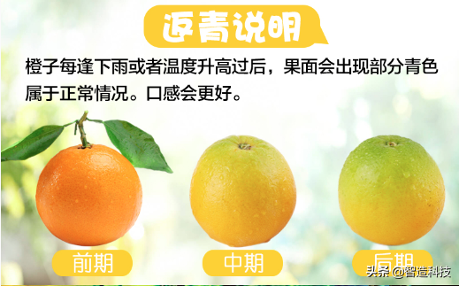 伦晚为什么叫伦晚，为什么叫伦晚（除了像它的名字一样）