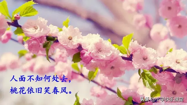 迷醉的意思，心醉神迷的醉什么意思（小学部编版语文二年级下册图文讲解+同步练习）