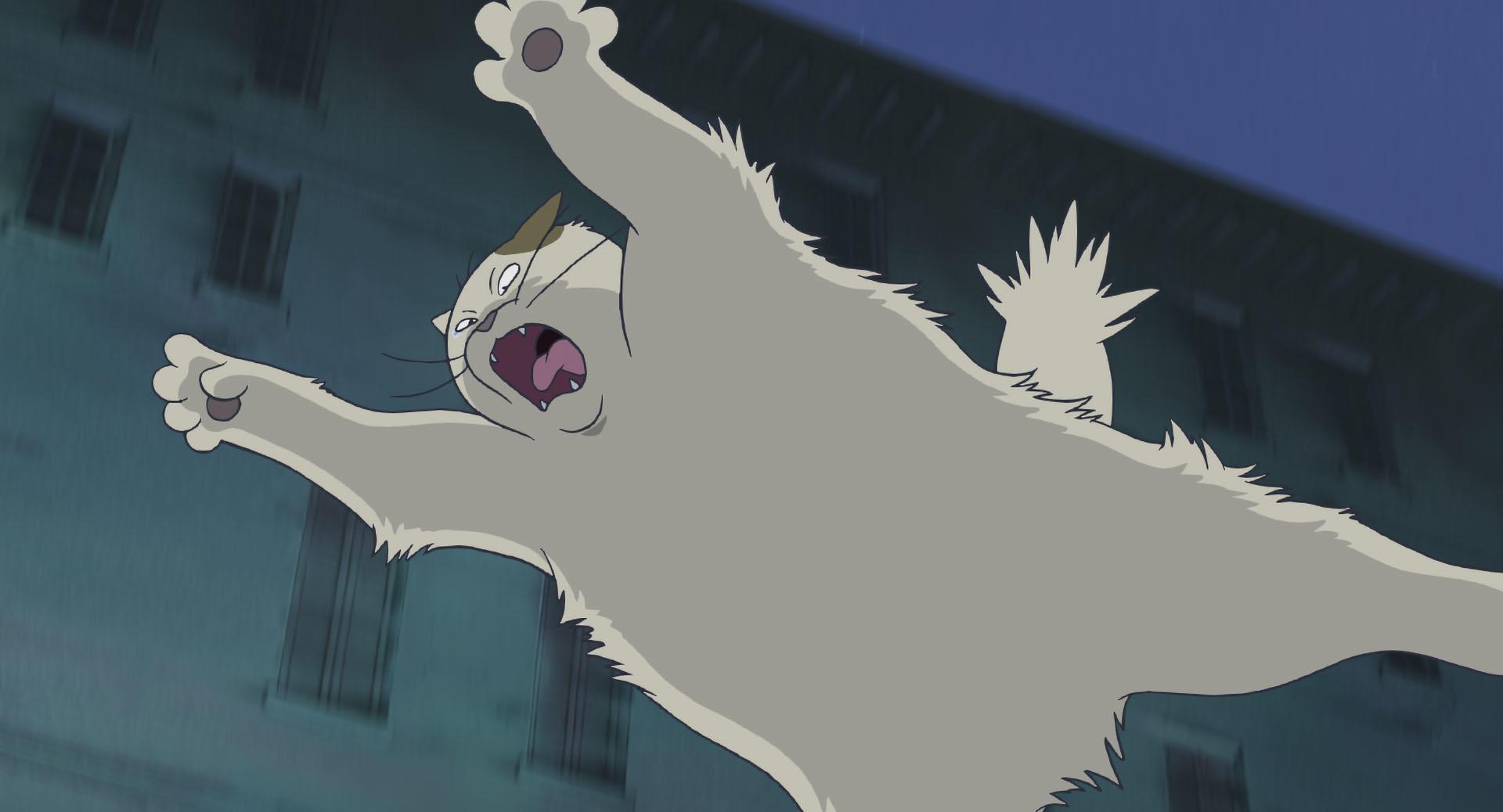 猫的报恩——奇幻的旅程