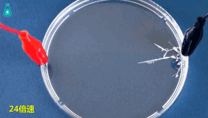 焊锡的熔点是多少度，火焰纹章风花雪月怎么锡的熔点是多少度（一种会自我毁灭的金属）