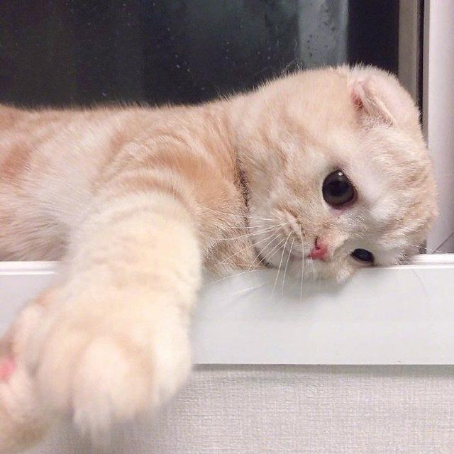 可盐可甜.靓妹头像微信，可盐可甜.靓妹头像（一些可甜可咸适合发朋友圈的小句子）