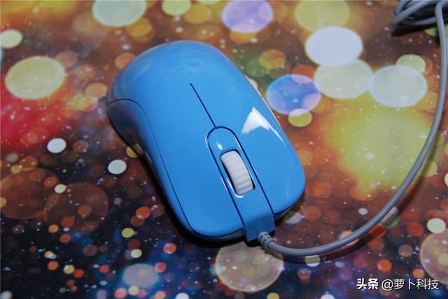 divina跳蚤防治，吡虫啉灭跳蚤（职业FPS选手标配）