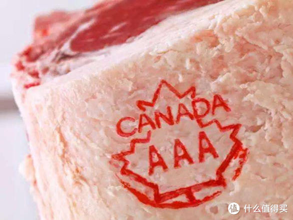 美国牛排 等级，买牛肉不要再上当了好吗