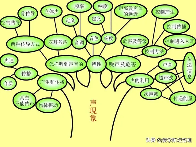 树状思维导图模板，知识点总结树状图（初中物理树状思维导图）