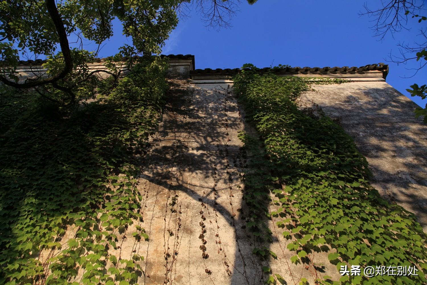 附近有什么酒吧，附近有什么酒吧可以玩（郑在碧山村：牛栏酒吧）