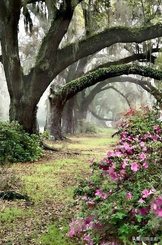 内蒙古人所说的风季是哪个季节，蒙古人的风季是什么季节（中国历史地理常识大全）