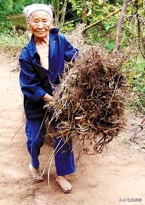 搓脚石是什么石头，搓脚石是什么石头做的（梁汉生：童年记忆）