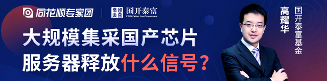 芯片服务器深度解析，大规模集采国产芯片服务器释放什么信号