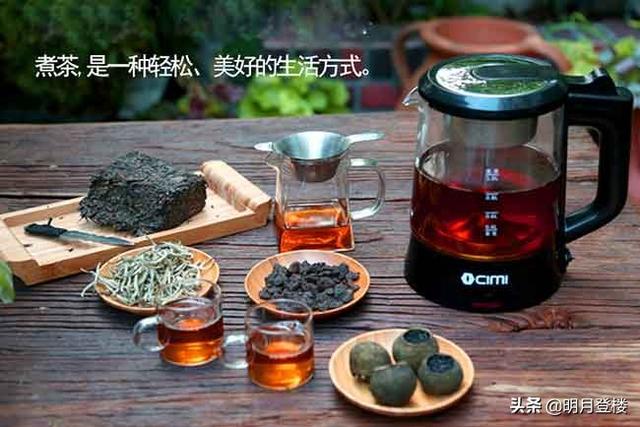 什么茶叶适合用蒸茶器，什么茶适合蒸茶器蒸着喝（入手了一个蒸茶器，体验超级好）