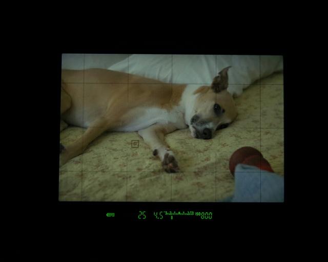 初学单反摄影技巧图解，请先从认识相机开始