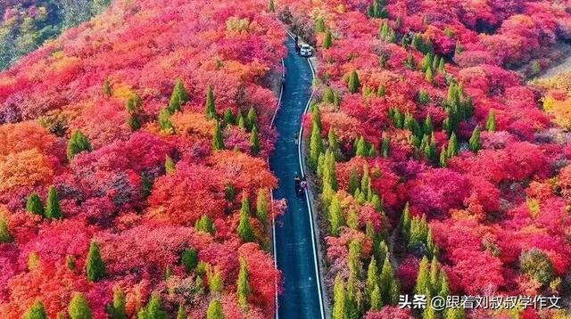 “夜夜笙箫”前面一句是什么，“夜夜笙箫”（红叶柿岩秋赋）