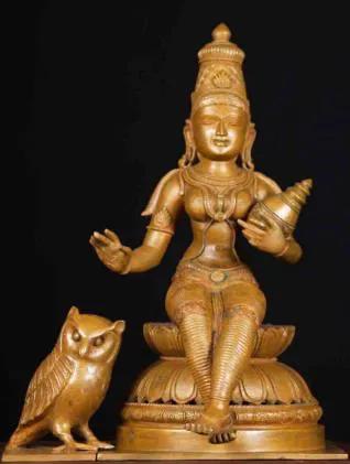 养雪鸮犯法吗，宠物雪貂多少钱一只（猫头鹰的构造原来这么奇葩）