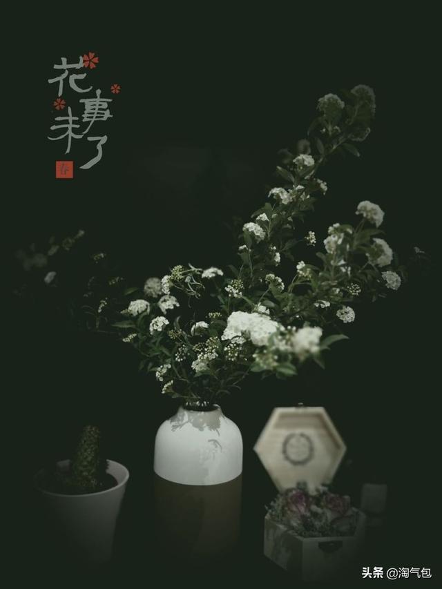 12个月都有什么情人节，二月没过情人节的今天补上