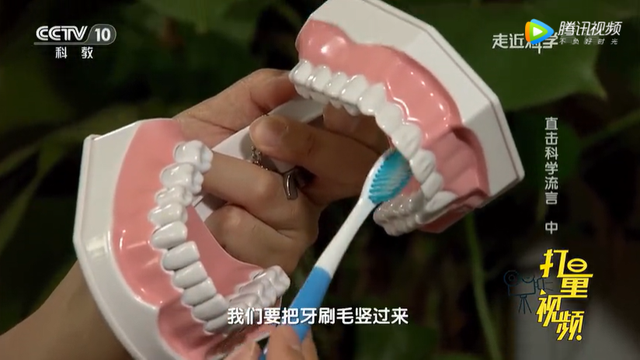 儿童换牙顺序图，大牙可以换吗儿童换牙顺序图（爸妈一定要知道<建议收藏>）