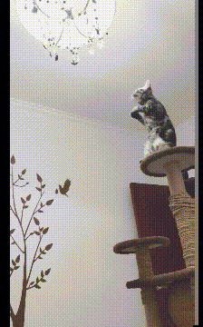 一人吃饱全家不饿什么意思，一人吃饱,全家不饿啥意思（搞笑：难道这就是传说中的）