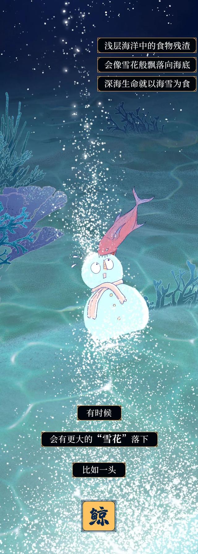 一鲸落万物生什么意思，万物生是什么意思（深入解析什么是“一鲸落）