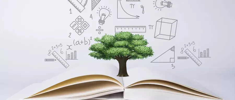 上海星河湾双语学校官网（最新）