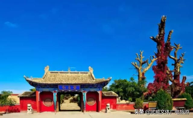 0935是哪的区号,095是哪个地方的区号(这是我2019年最新简历) 0935是哪的区号,095是哪个地方的区号(这是我2019年最新简历)