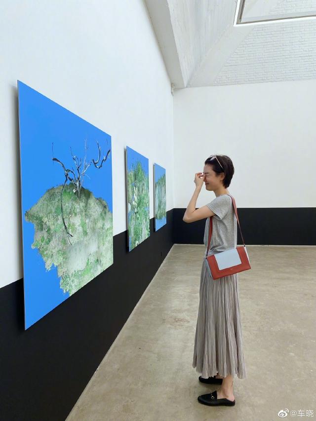 一个西红柿多少克，100克番茄多少卡（车晓蹲菜地采摘毫无包袱）