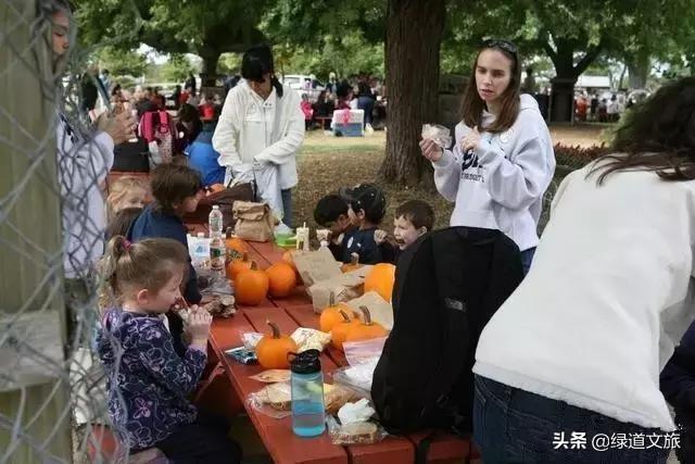 城市家庭农场怎么样，家庭农场的前景如何（一个“平平无奇”的家庭农场）