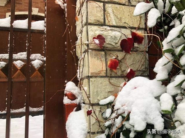 情侣唯美雪景图片，情侣唯美雪景图片真实（冬日初雪印象：一半冬雪）