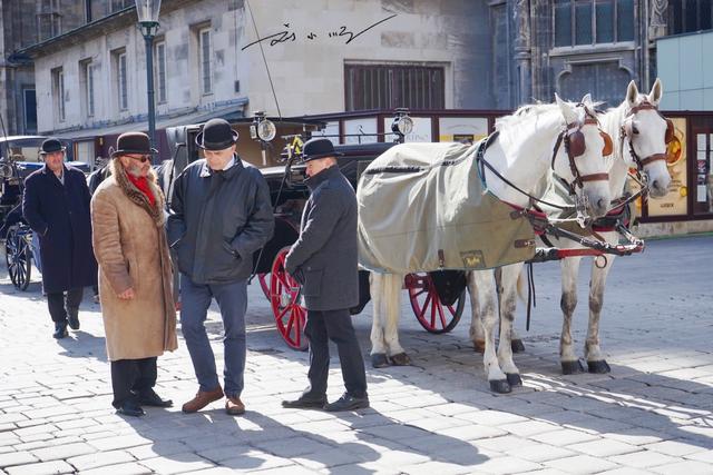 维也纳在哪个国家，维也纳在哪个国家家（实拍奥地利首都维也纳）