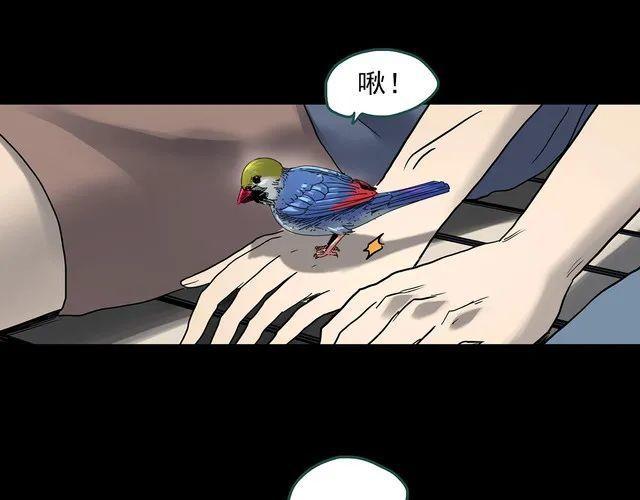 蘑菇漫画app下载，蘑菇漫画app官网安卓版免费下载v1.0（漫画，治愈系列：虚拟现实）