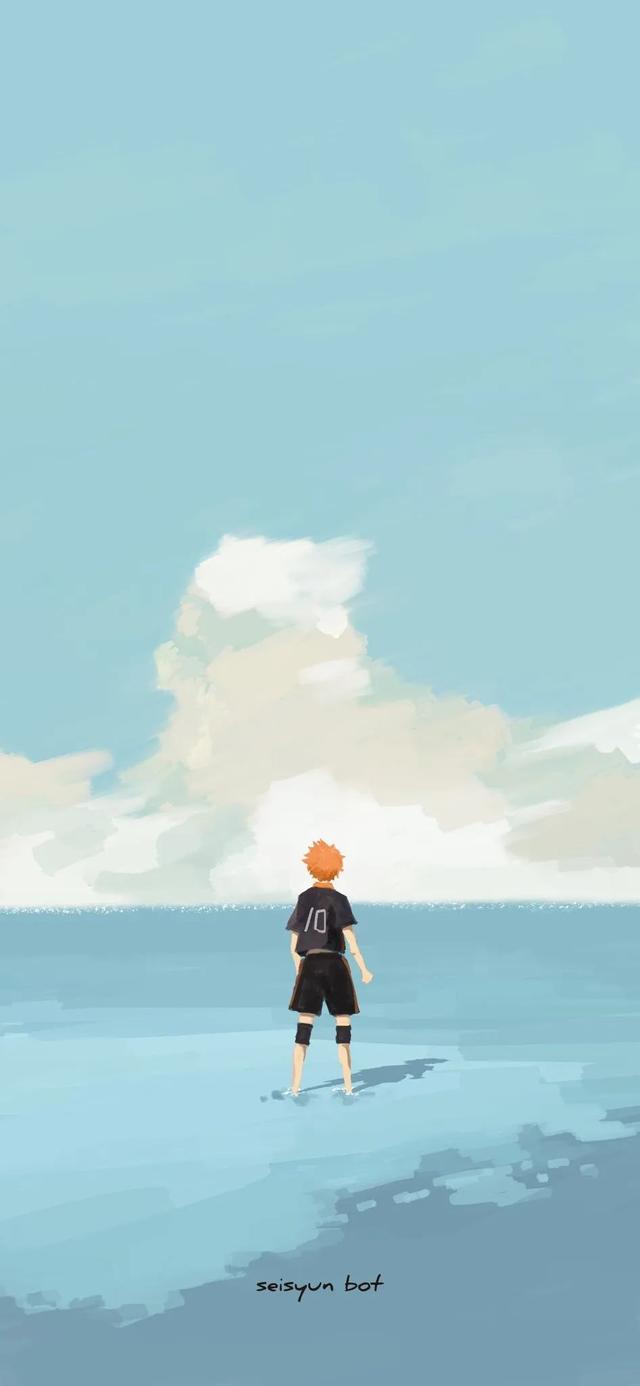 排球少年阵容介绍，《排球少年》最后什么结局