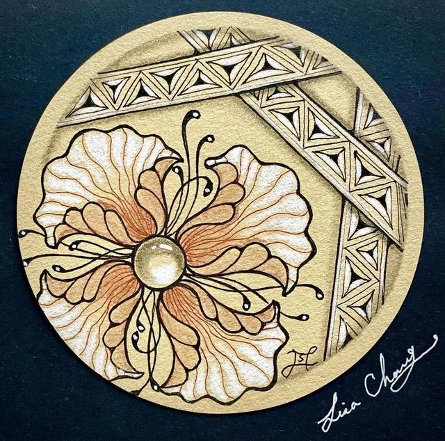 用圆规画出的精美图案，怎样用圆规画好看的图案（画出简单有创意的装饰禅绕画）