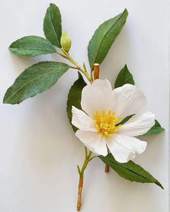 手工花朵制作方法，彩纸手工制作花朵的方法（喜欢花哪儿还用买）
