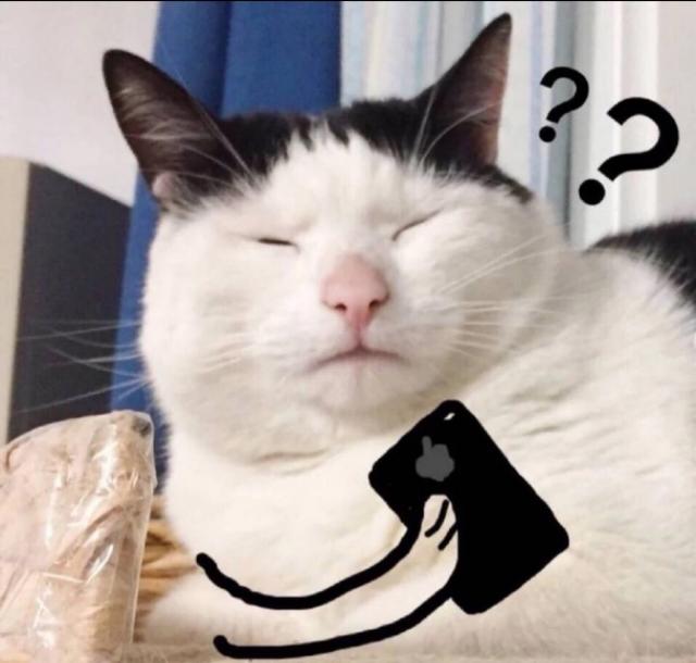 可爱搞怪的猫咪头像微信，可爱搞怪的猫咪头像（搞怪猫咪头像表情包）