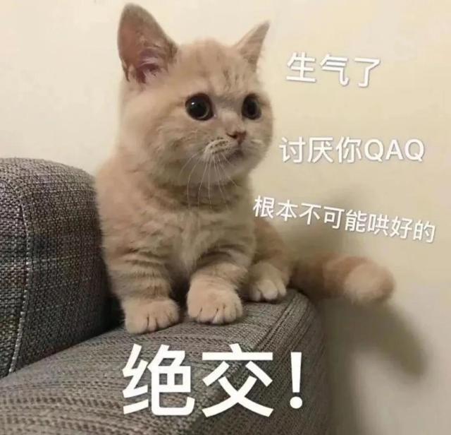 一对可爱狗狗表情包图集，情侣专用狗狗猫猫可可爱爱沙雕表情包