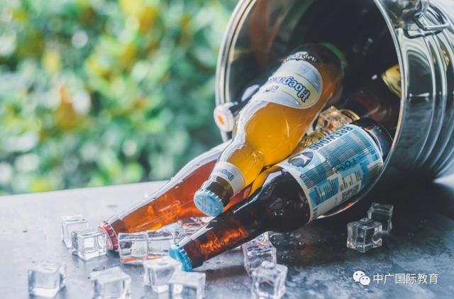 派对是什么意思，派对是什么意思英语（漫谈▕ 西方国家的派对文化）