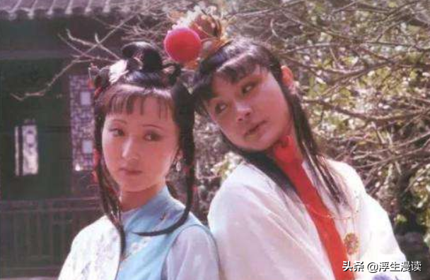 姓林的女孩名字，独特好听姓林女孩名字（都是影射黛玉的华而不实）