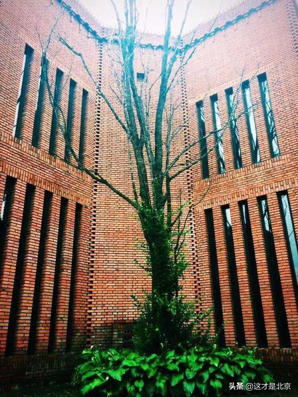 北京什么地方好玩，北京有什么好玩的地方（我私藏的北京16个小众又好玩的地方）