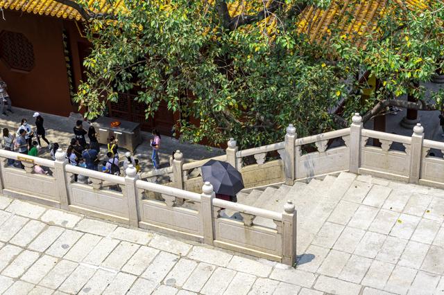 深圳有哪些旅游景点，深圳旅游景点（第1次到深圳不知去哪玩）