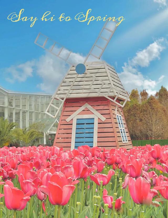 昆明好玩的地方，昆明好玩的地方排行榜（12个昆明近郊亲子自驾游好去处）