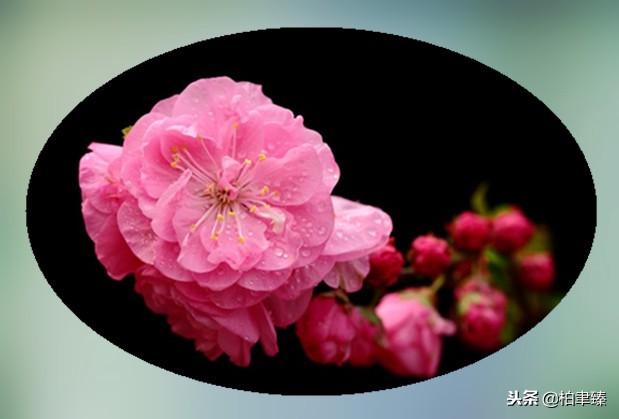 在乎与不在乎的区别，在乎与不在乎<说的太好了>