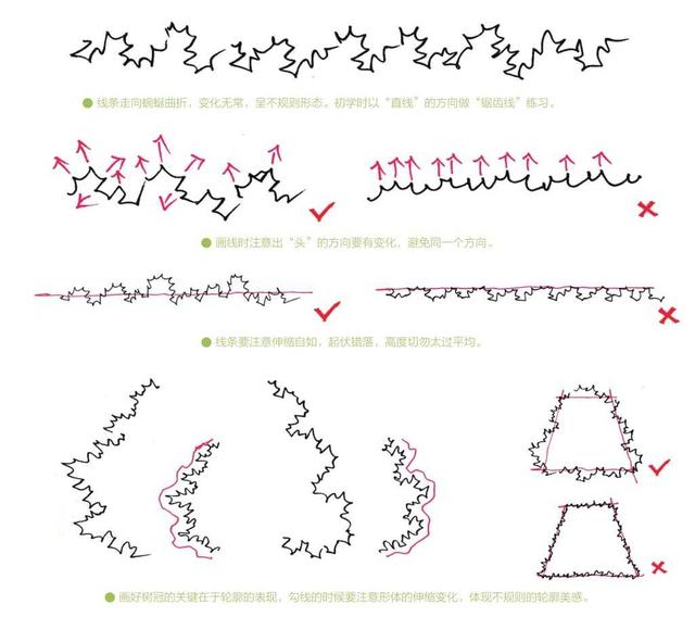 超简单风景速写入门初学者，适合初学者学习的速写中植物配景的画法图解教程