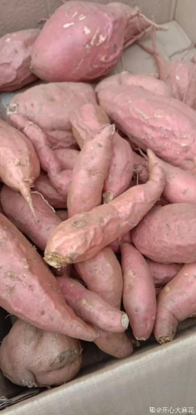 平菇种植最简单方法，平菇种植最简单的方法（喷喷水就能长）