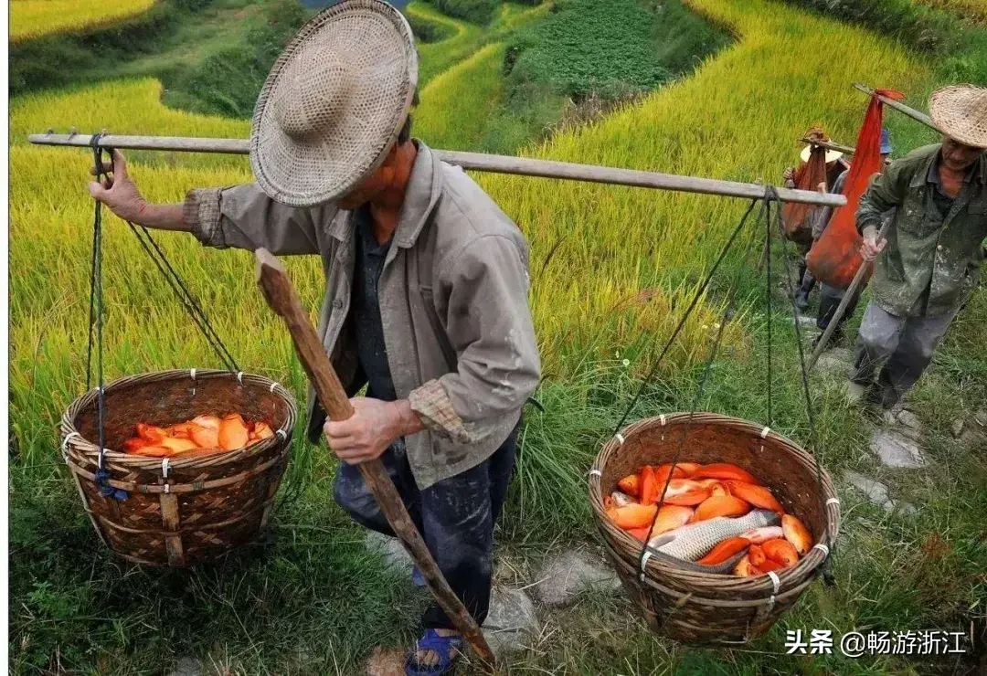 永嘉县美食，永嘉县美食介绍（味道温州 ， 别点，会饿）