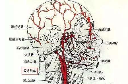 那种五颜六色的橡皮泥是否有毒，那种五颜六色的橡皮泥是否有毒呢（还有很多人都在用）