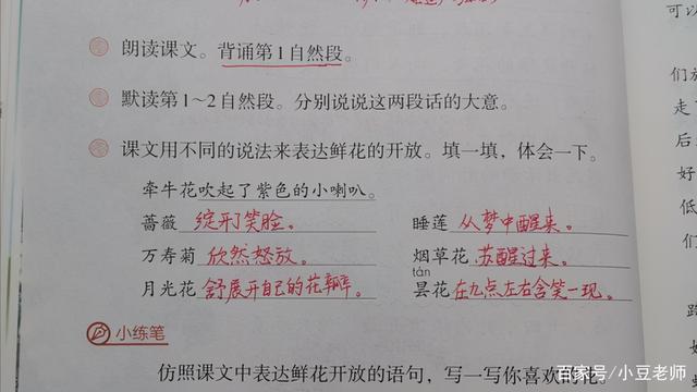 什么是科普说明文，科普说明文还有什么说明文（三年级语文下册第13课《花钟》留心观察获得的各种发现）