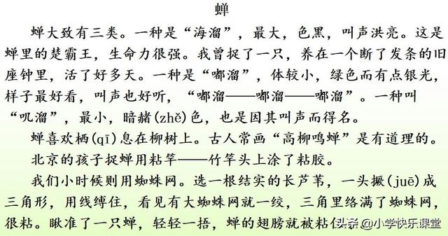 什么的硬翅，什么的硬翅？填四个字。（小学部编三年级语文下第4课《昆虫备忘录》图文+知识点+同步练习）